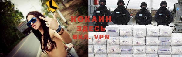 mdpv Гатчина