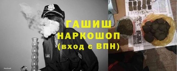 mdpv Гатчина