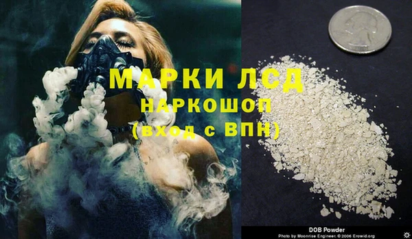 mdpv Гатчина