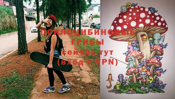 каннабис Заводоуковск