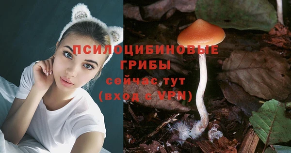 каннабис Заводоуковск